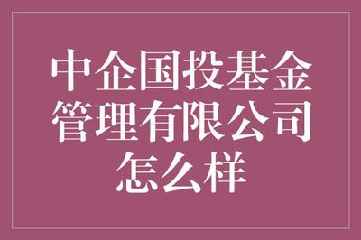 中企国投基金管理:助力中国经济稳健前行的坚实伙伴
